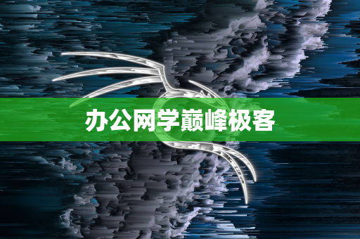 办公网学巅峰极客