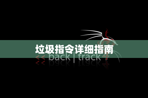 垃圾指令详细指南