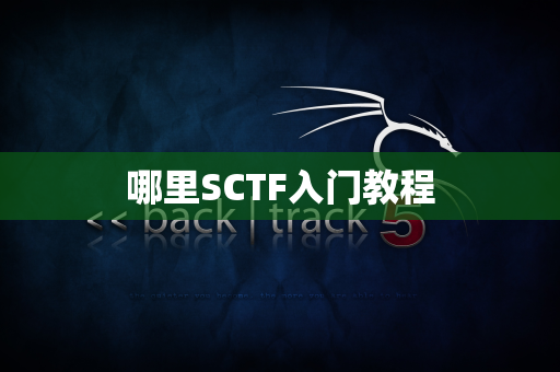 哪里SCTF入门教程