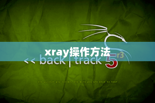 xray操作方法