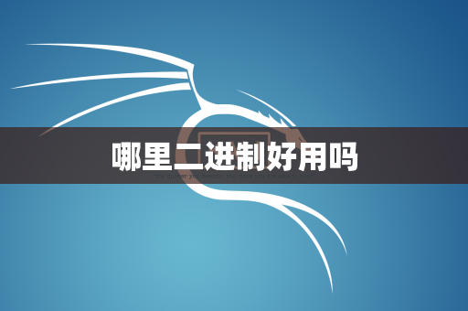 哪里二进制好用吗