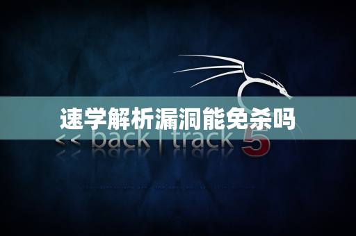 速学解析漏洞能免杀吗