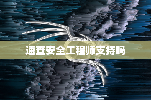 速查安全工程师支持吗