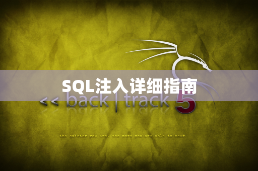 SQL注入详细指南