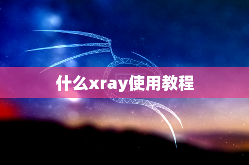什么xray使用教程