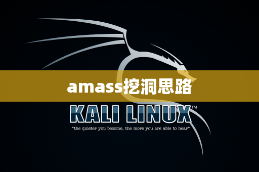 amass挖洞思路