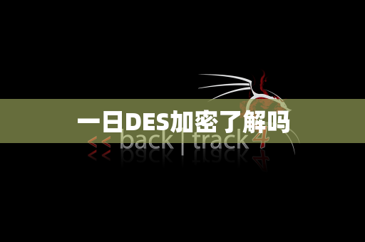 一日DES加密了解吗