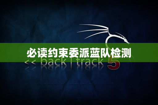 必读约束委派蓝队检测
