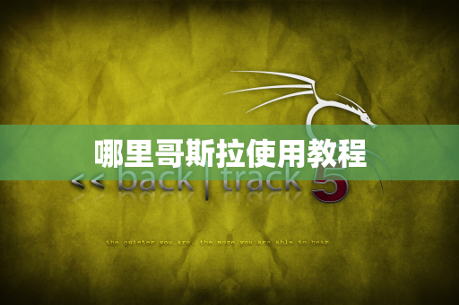 哪里哥斯拉使用教程