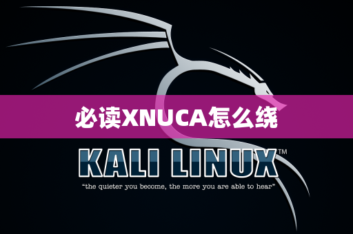 必读XNUCA怎么绕