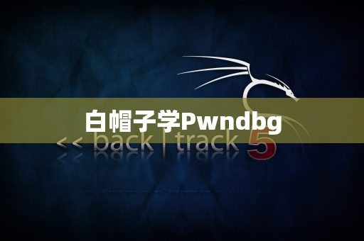 白帽子学Pwndbg