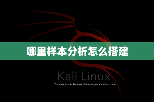 哪里样本分析怎么搭建