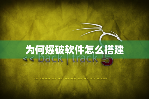 为何爆破软件怎么搭建
