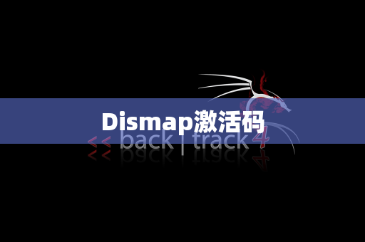Dismap激活码