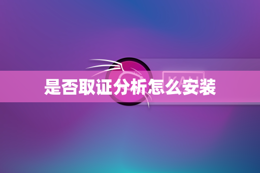 是否取证分析怎么安装