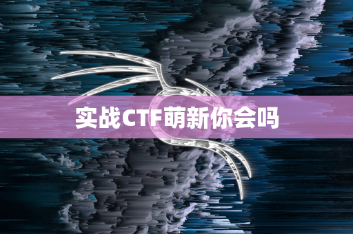 实战CTF萌新你会吗