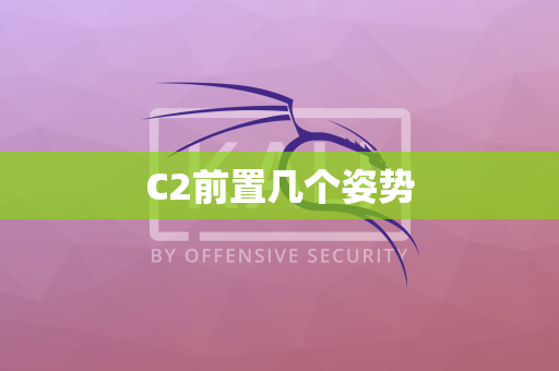 C2前置几个姿势