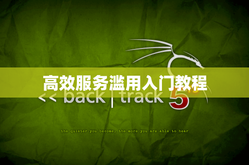 高效服务滥用入门教程