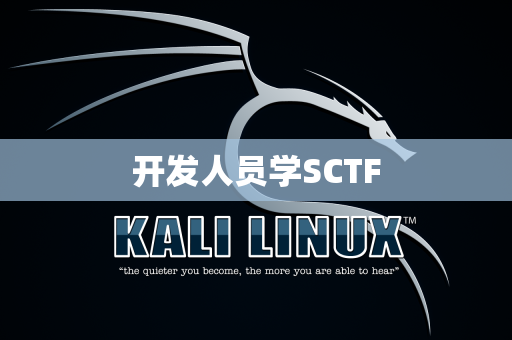 开发人员学SCTF
