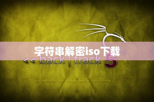 字符串解密iso下载