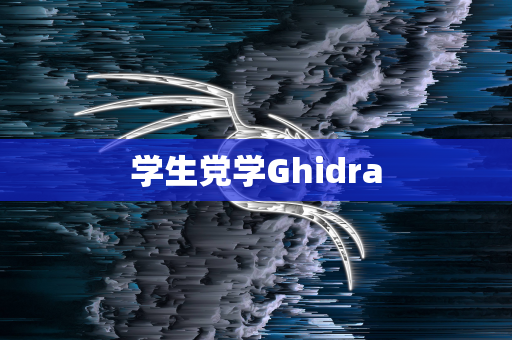 学生党学Ghidra
