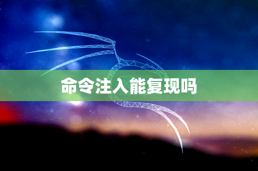 命令注入能复现吗