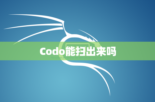Codo能扫出来吗