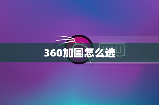 360加固怎么选