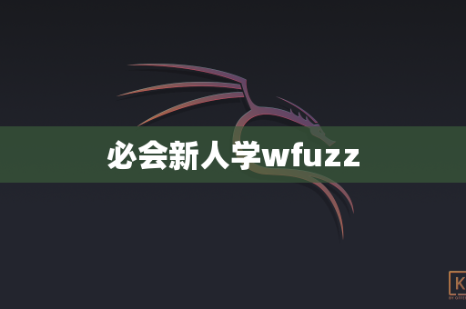 必会新人学wfuzz