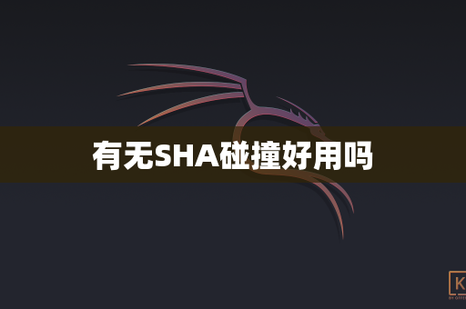 有无SHA碰撞好用吗