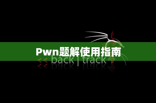 Pwn题解使用指南