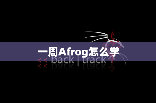 一周Afrog怎么学