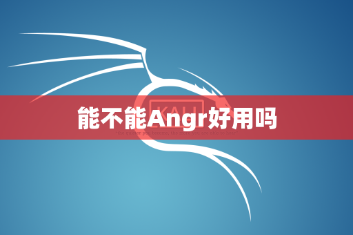 能不能Angr好用吗