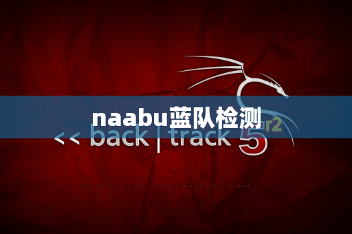 naabu蓝队检测