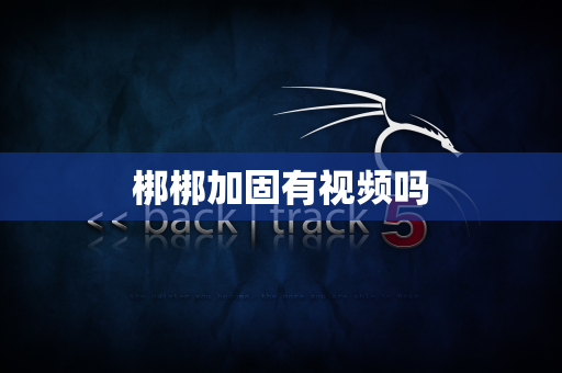 梆梆加固有视频吗