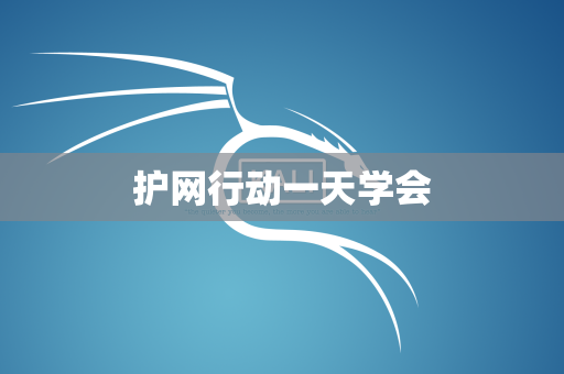 护网行动一天学会