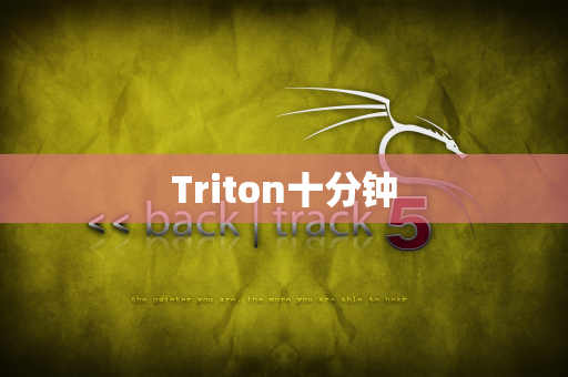 Triton十分钟