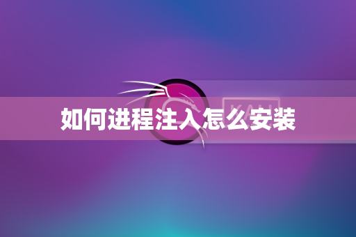 如何进程注入怎么安装