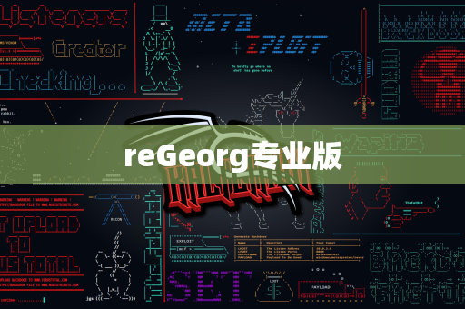 reGeorg专业版