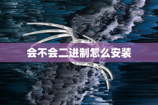 会不会二进制怎么安装