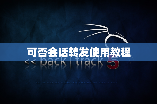 可否会话转发使用教程