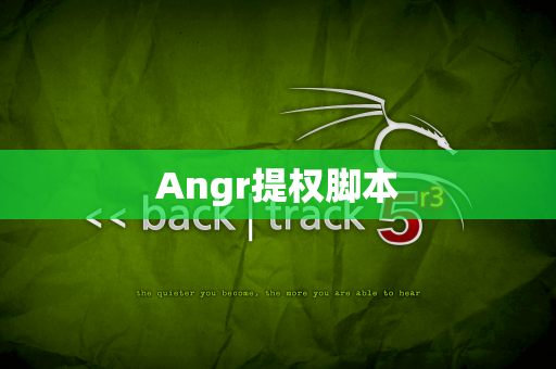 Angr提权脚本