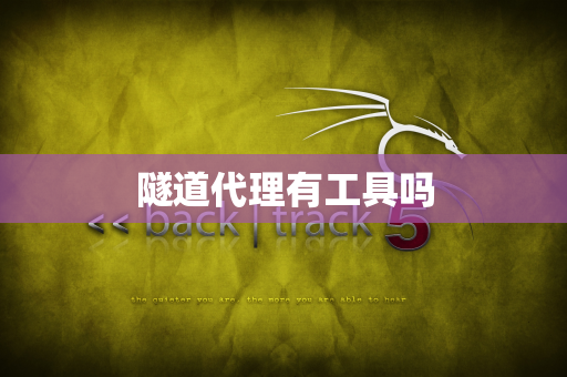 隧道代理有工具吗