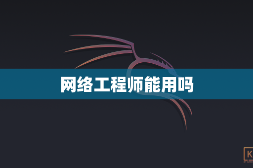 网络工程师能用吗