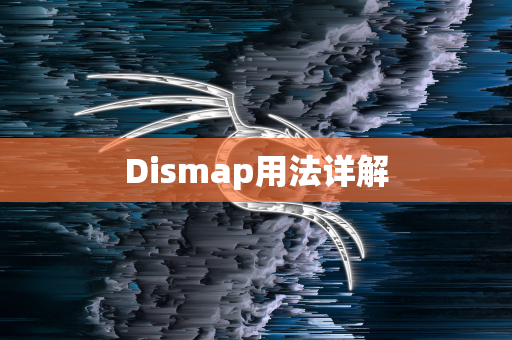 Dismap用法详解