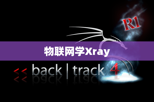 物联网学Xray