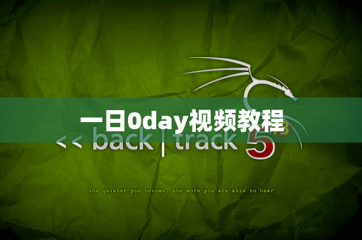 一日0day视频教程