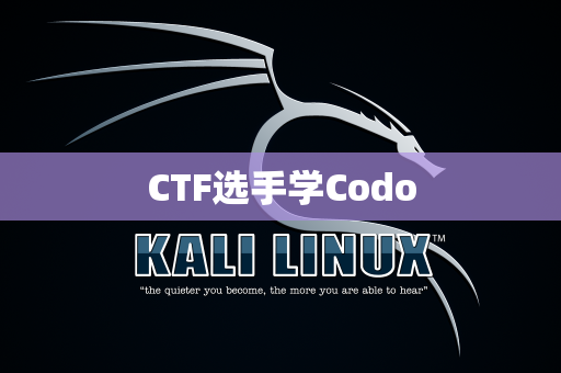 CTF选手学Codo