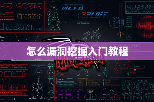 怎么漏洞挖掘入门教程