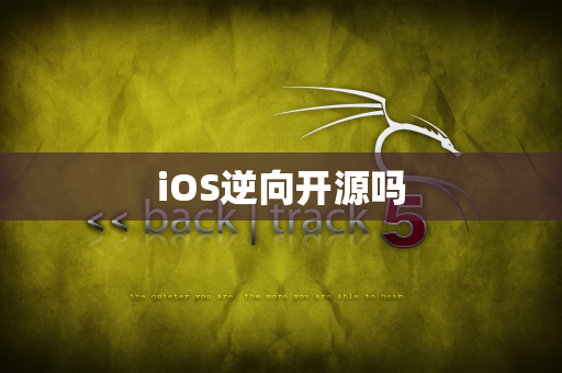 iOS逆向开源吗